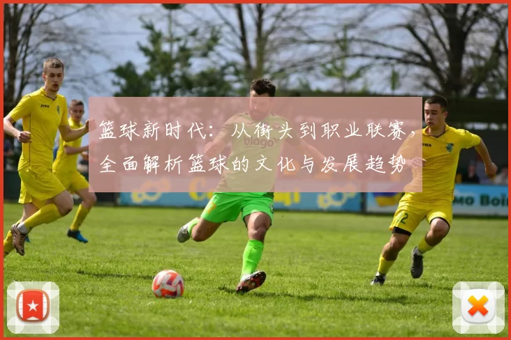 篮球新时代：从街头到职业联赛，全面解析篮球的文化与发展趋势