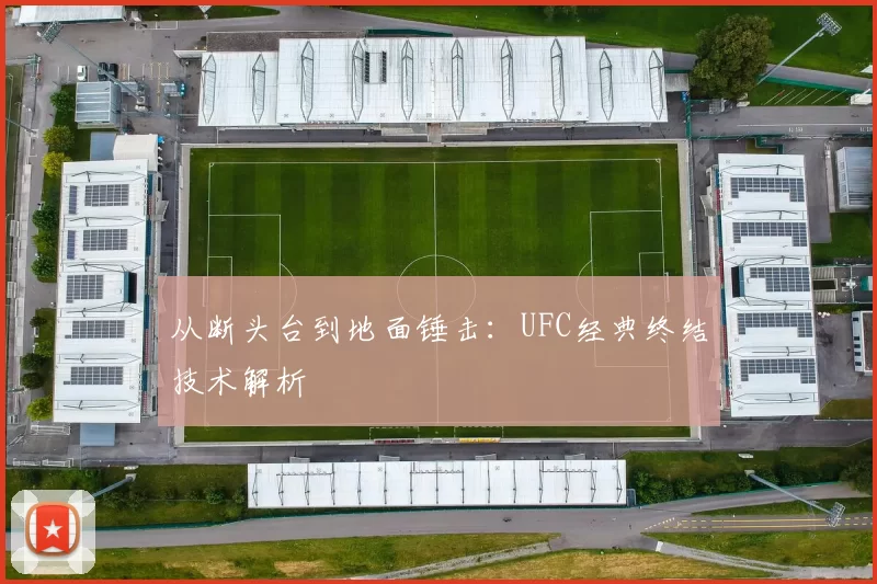从断头台到地面锤击：UFC经典终结技术解析