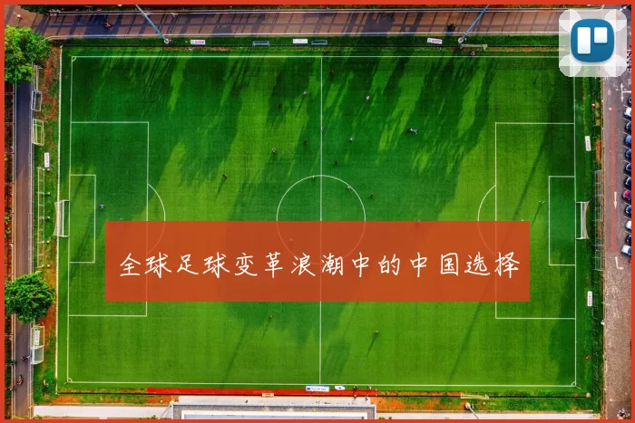 全球足球变革浪潮中的中国选择
