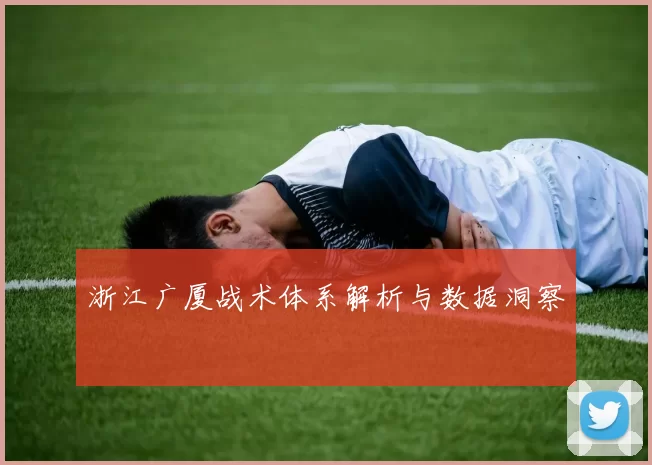 浙江广厦战术体系解析与数据洞察