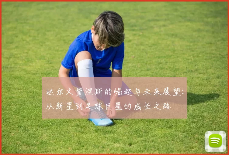 达尔文努涅斯的崛起与未来展望：从新星到足球巨星的成长之路