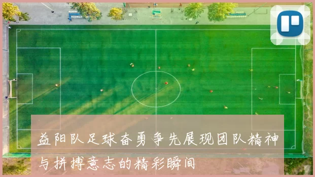 益阳队足球奋勇争先展现团队精神与拼搏意志的精彩瞬间