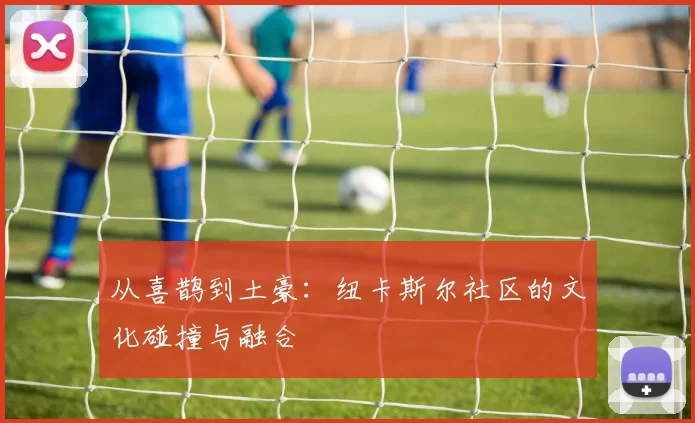从喜鹊到土豪：纽卡斯尔社区的文化碰撞与融合
