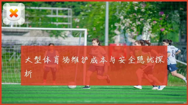 大型体育场维护成本与安全隐忧探析